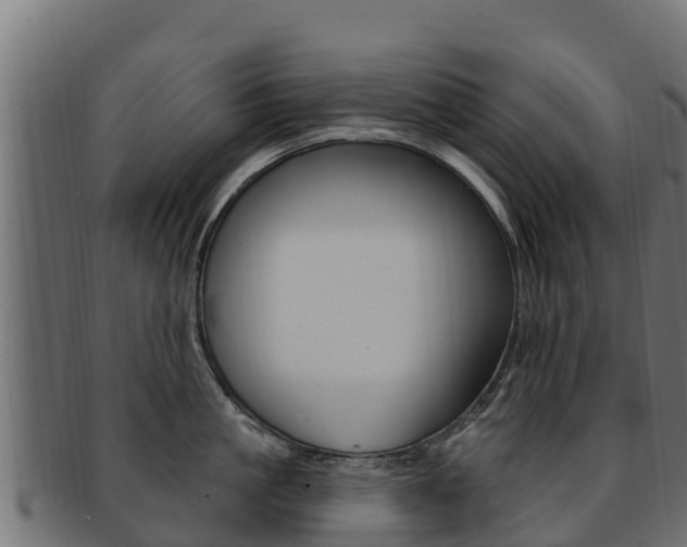X0000092320861200709141049