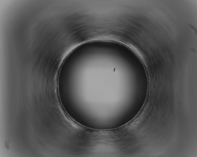 X0000092320862200709141049