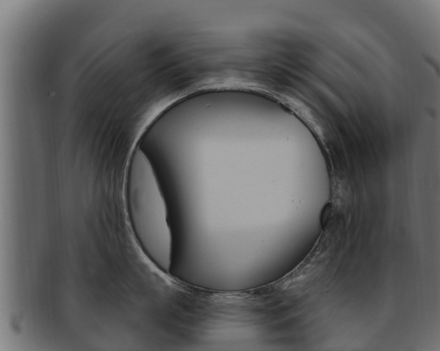 X0000092320863200709141049