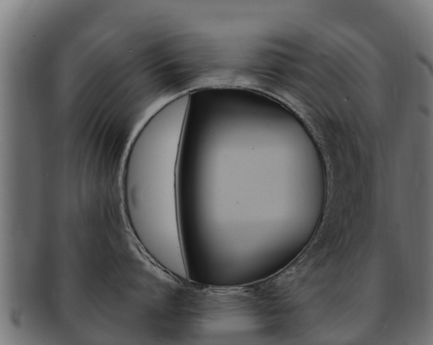 X0000092320864200709141049