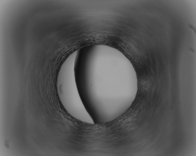 X0000092320865200709141049
