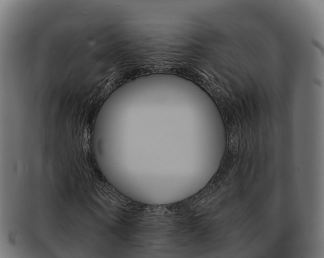 X0000092320866200709141049