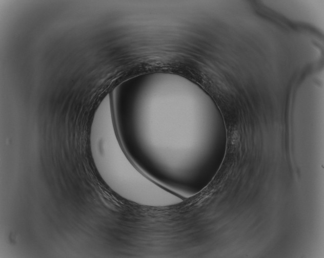X0000092320868200709141048