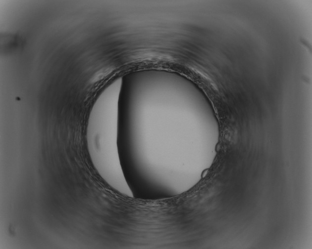 X0000092320869200709141048