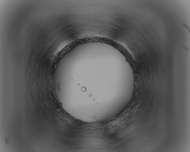 X0000092320871200709141048