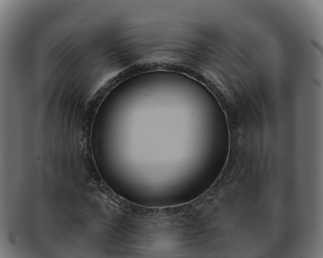 X0000092320872200709141048