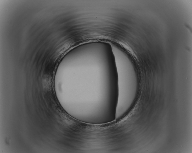 X0000092320873200709141048