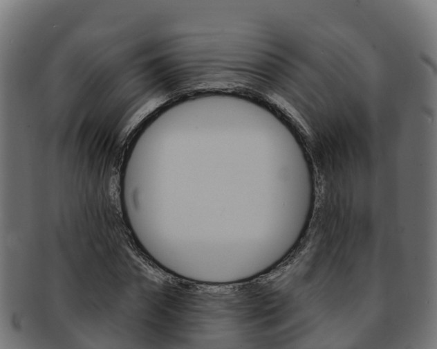 X0000092320874200709141048