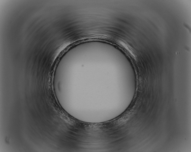 X0000092320875200709141048
