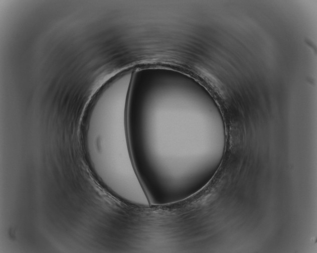 X0000092320876200709141048