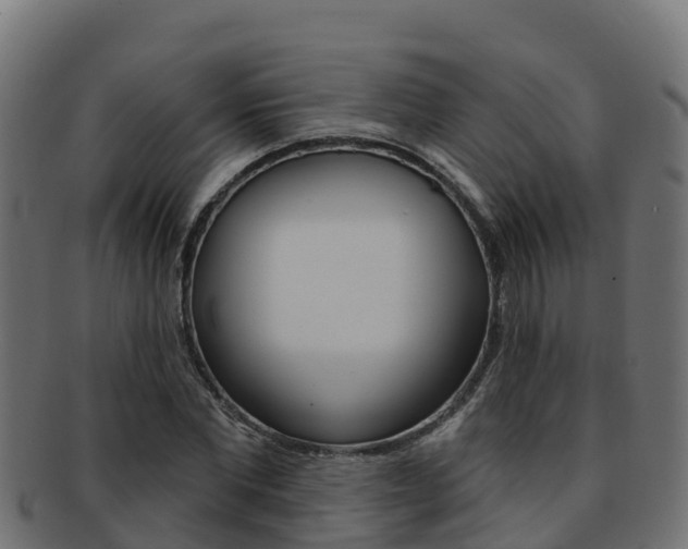 X0000092320877200709141048