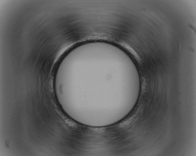 X0000092320878200709141048