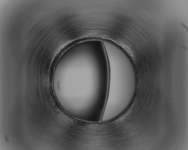 X0000092320880200709141048