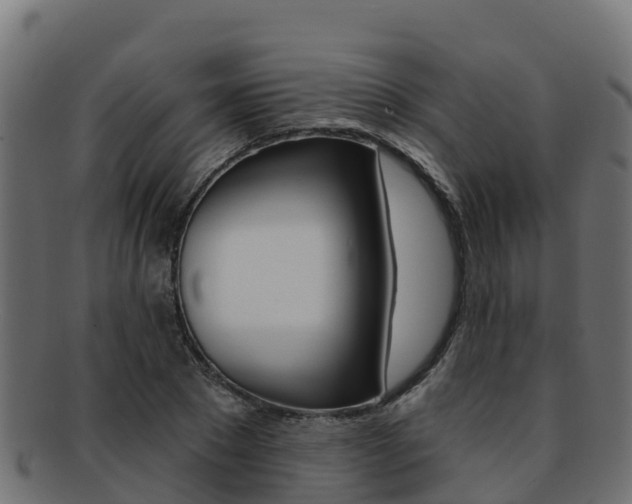 X0000092320881200709141048