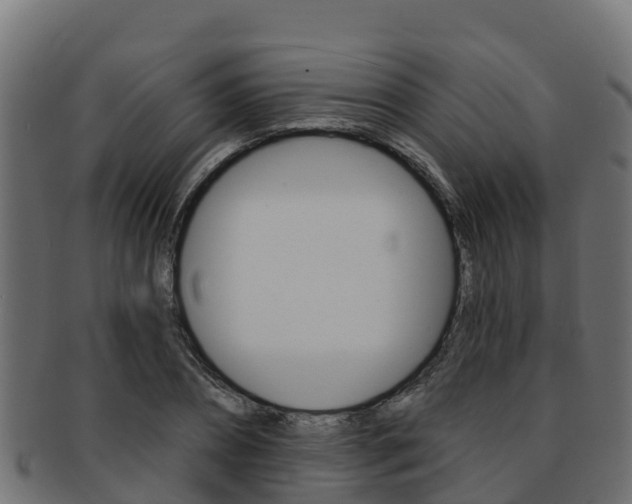 X0000092320882200709141048