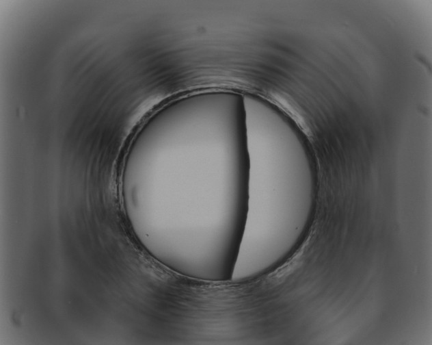 X0000092320883200709141048