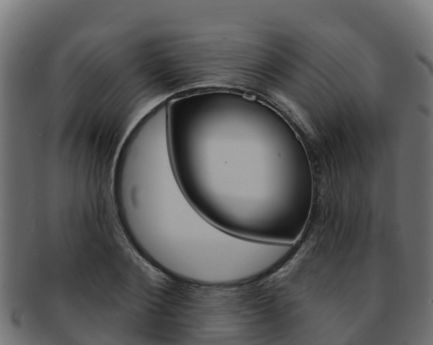 X0000092320884200709141048