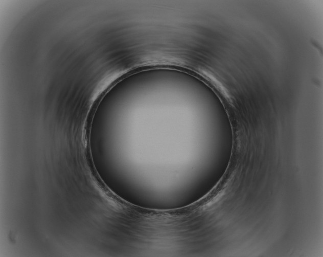 X0000092320885200709141048