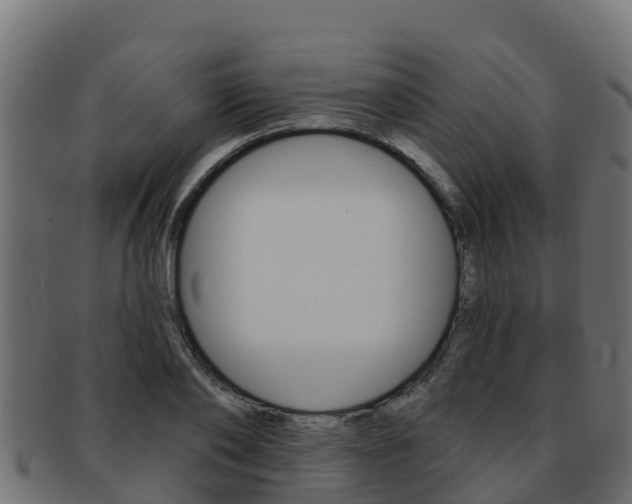 X0000092320886200709141048