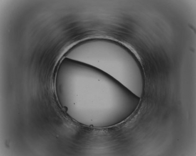 X0000092320887200709141048