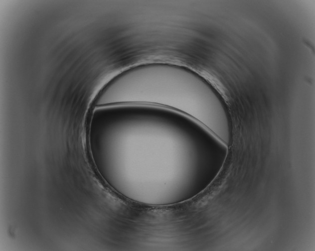 X0000092320888200709141048