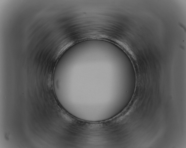 X0000092320889200709141048