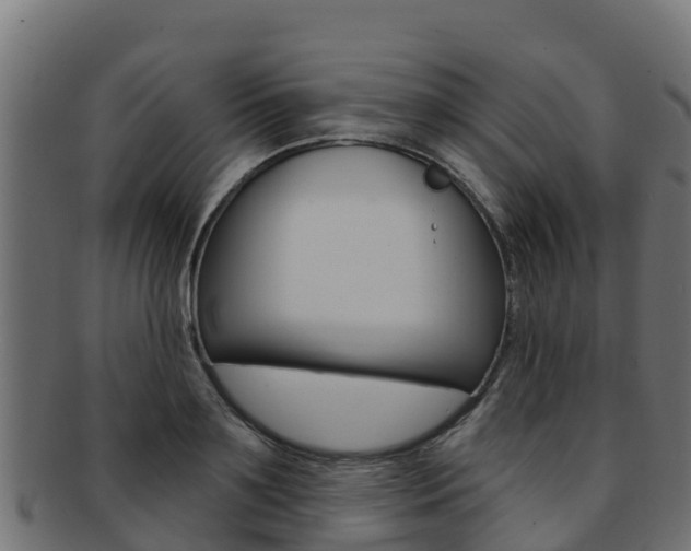 X0000092320891200709141048