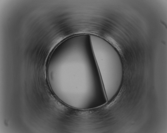 X0000092320892200709141048