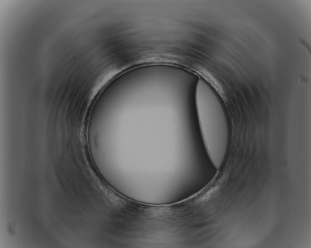 X0000092320893200709141048