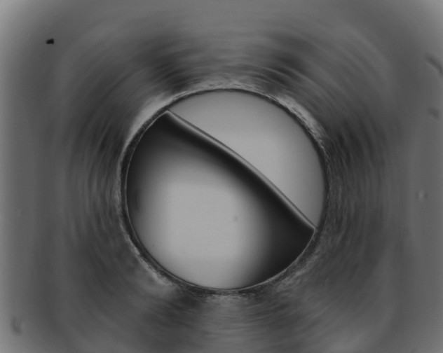 X0000092320894200709141048