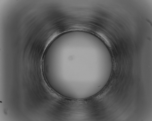 X0000092320899200709141048