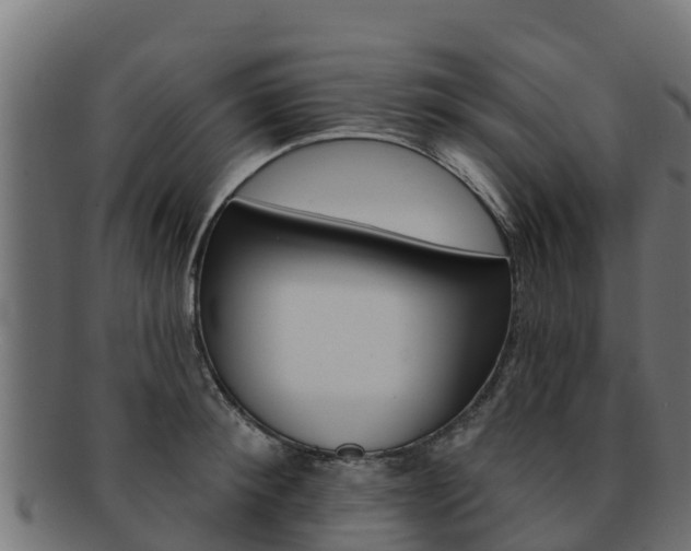 X0000092320900200709141048