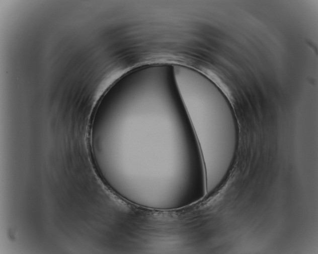 X0000092320901200709141048