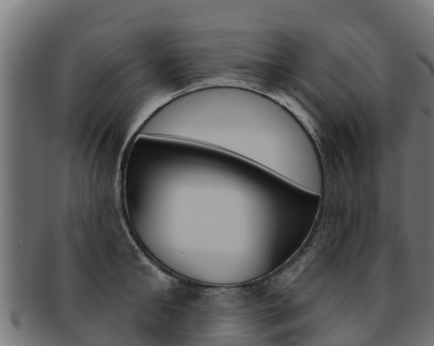 X0000092320902200709141048