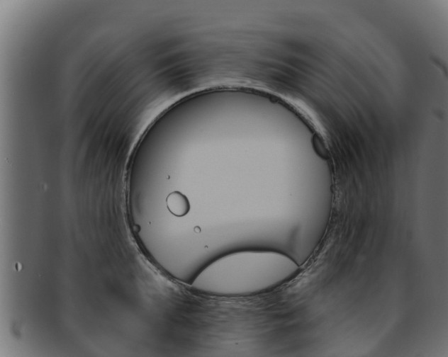 X0000092320903200709141048