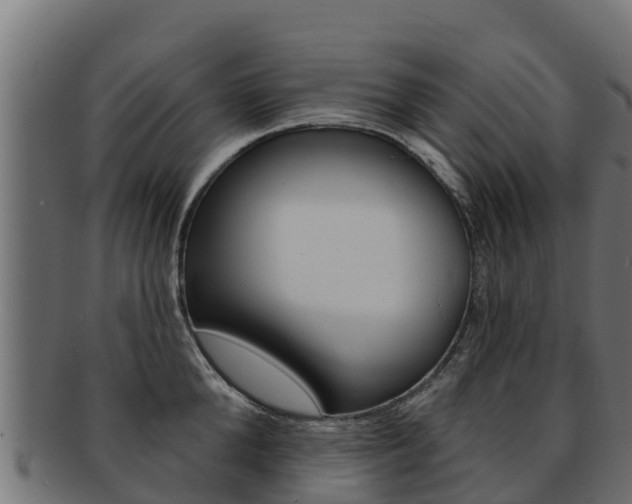 X0000092320904200709141048