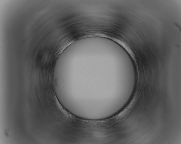X0000092320905200709141048