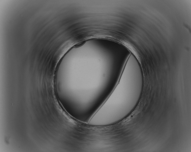 X0000092320906200709141048