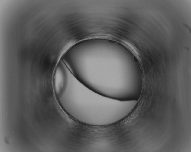 X0000092320907200709141048