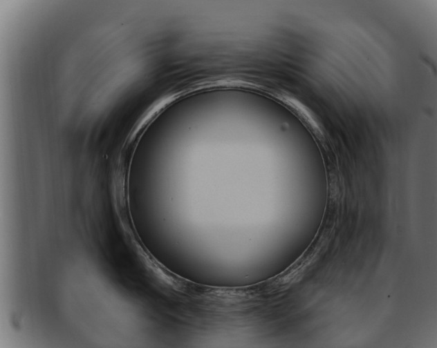 X0000092320910200709141048
