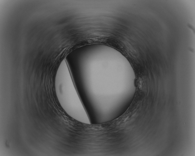 X0000092320915200709141047