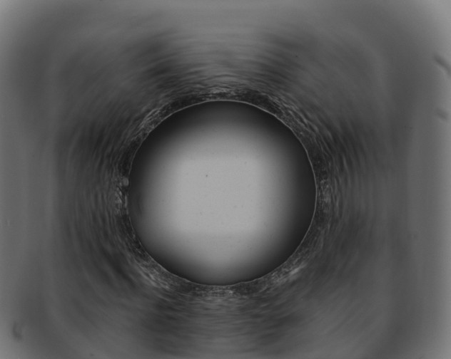 X0000092320916200709141047