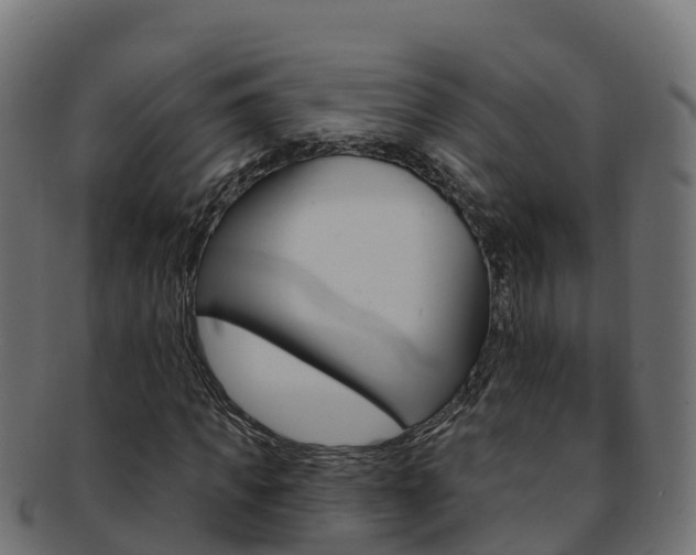 X0000092320917200709141047