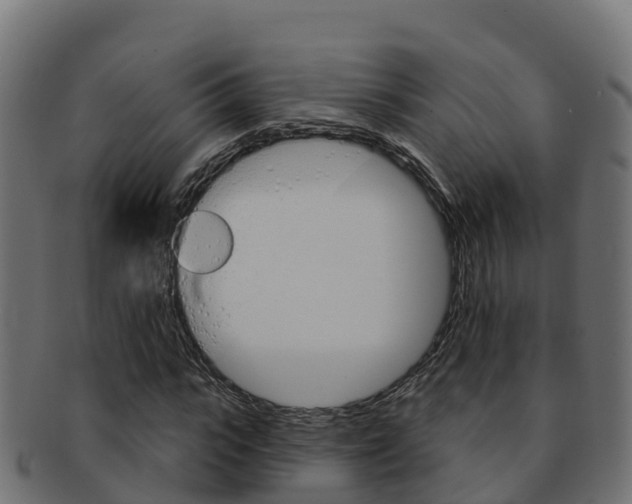 X0000092320919200709141047