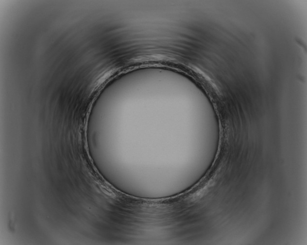 X0000092320921200709141047