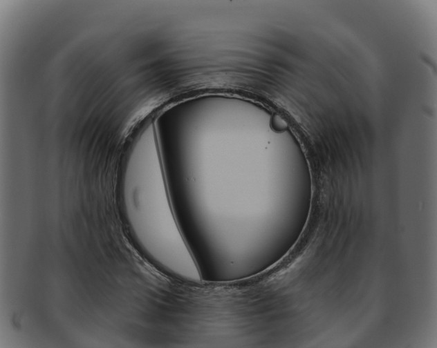 X0000092320922200709141048