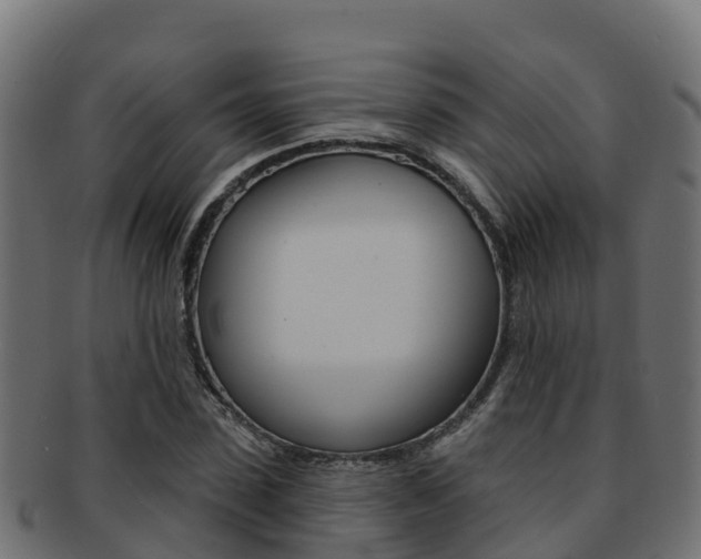 X0000092320923200709141048