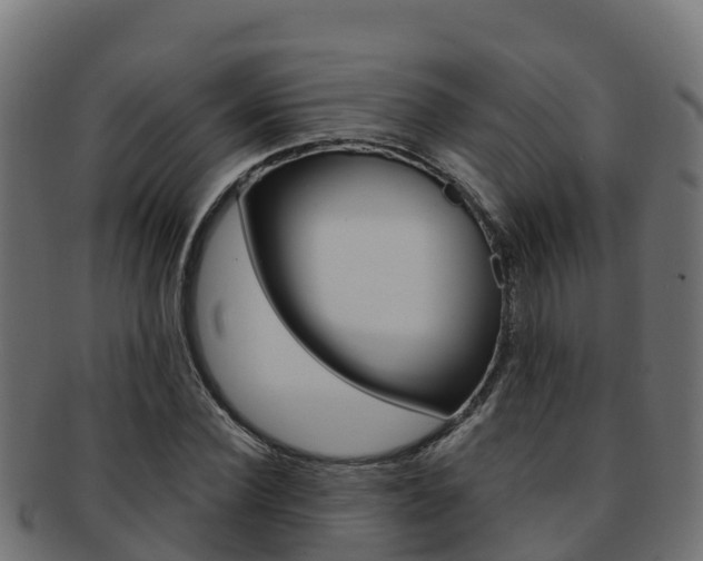X0000092320924200709141048