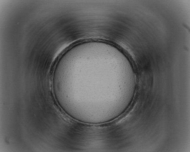 X0000092320925200709141048