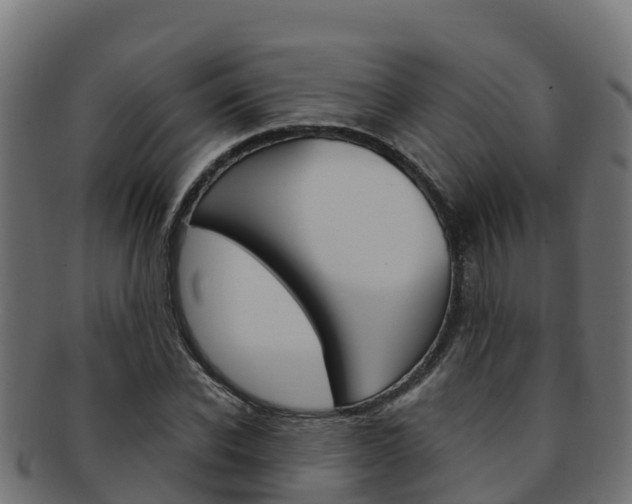 X0000092320926200709141048